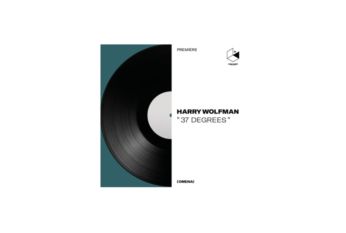 Harry Wolfman